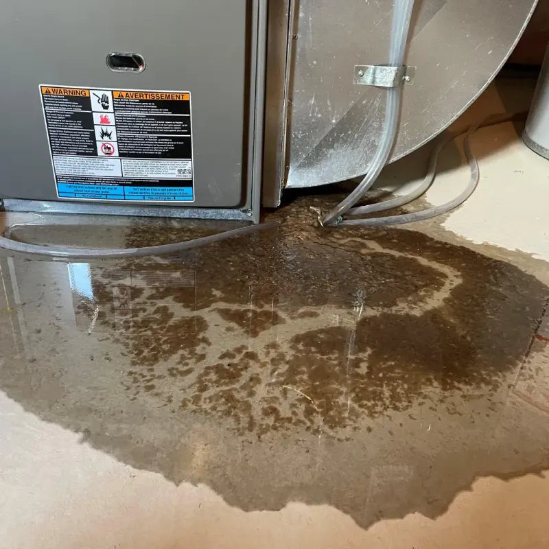 Appliance Leak Cleanup in Roselle Park, NJ